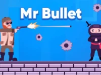image bg Mr Bullet