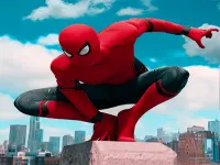 sipderman skate image