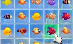 Fishing Puzzles image