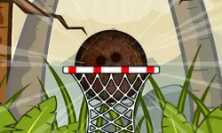 Coconut Basketball image