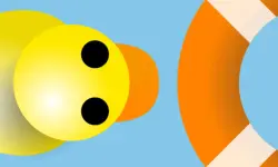 Duck rescue boat image