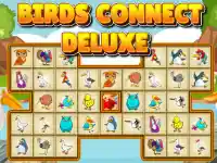 Birds Connect Deluxe image