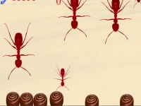 Smash All Ants image