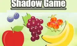 Shadow Game image