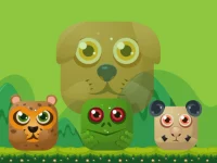 Animal Match Master image