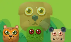 Animal Match Master image