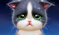 Kitten Bowling image