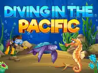 Diving In The Pacific image