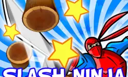 image bg Slash Ninja