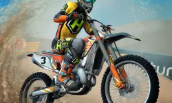 Mad Skills Motocross 3 image