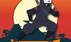 Lava And Ninja Skateboard image