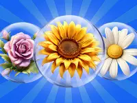 Dice Puzzle Flowers! image