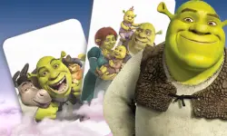 Shrek Card Match image