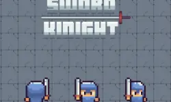 The Sword Knight image