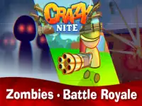 Crazynite.io image