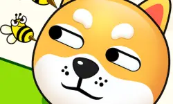 RESCUE THE DOT image