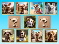 image bg Doggie Duo Discoveries