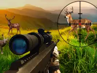 Wild Hunter Sniper Buck image